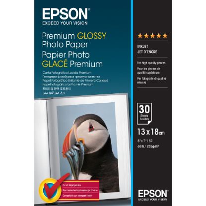 Imagem de Papel Fotográfico Epson Premium Glossy (30 Folhas - 13 x 18 cm)